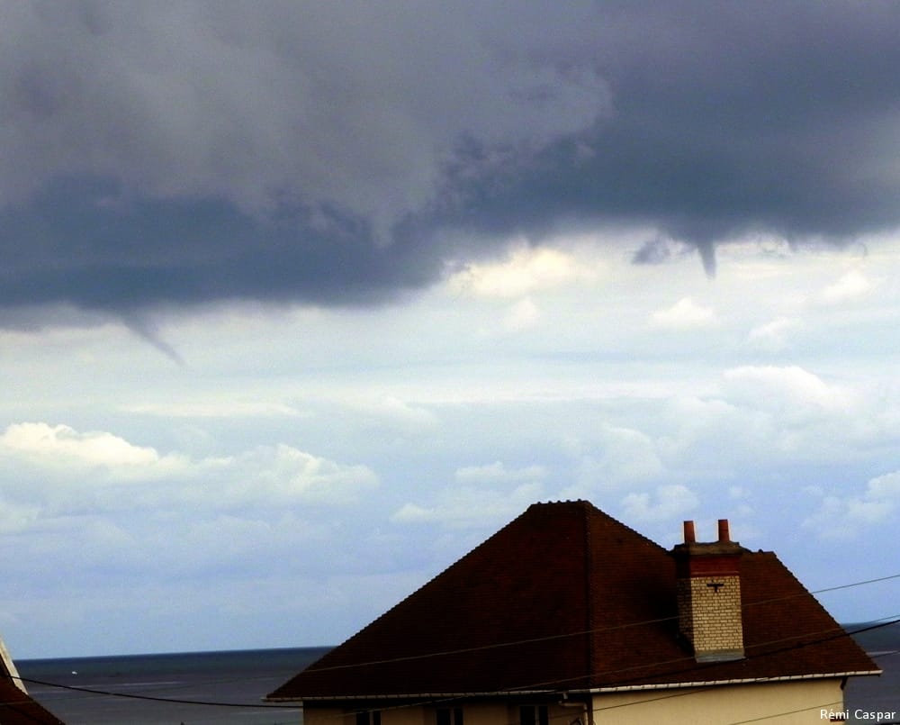 Tuba à dans le Calvados le 5 septembre 2015. © Rémi Caspar Tuba à dans le Calvados le 5 septembre 2015. © Rémi Caspar