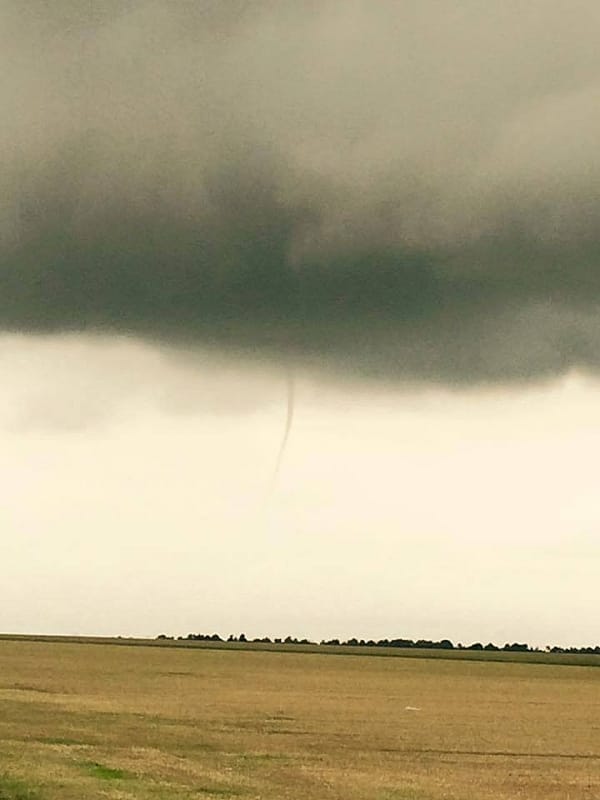 Tuba dans la Marne le 5 septembre 2015. © Bill Dundee Tuba dans la Marne le 5 septembre 2015. © Bill Dundee