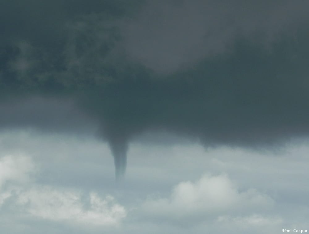 Tuba à dans le Calvados le 5 septembre 2015. © Rémi Caspar Tuba à dans le Calvados le 5 septembre 2015. © Rémi Caspar