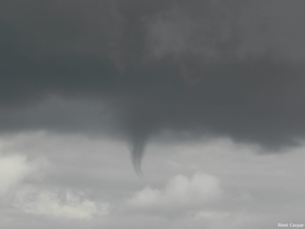 Tuba à dans le Calvados le 5 septembre 2015. © Rémi Caspar Tuba à dans le Calvados le 5 septembre 2015. © Rémi Caspar