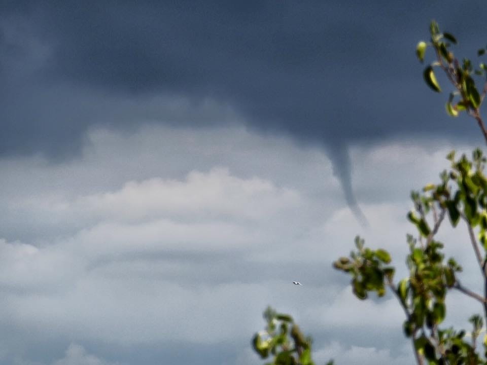 Tuba dans le Calvados le 5 septembre 2015. © Richard Dionnet Tuba dans le Calvados le 5 septembre 2015. © Richard Dionnet