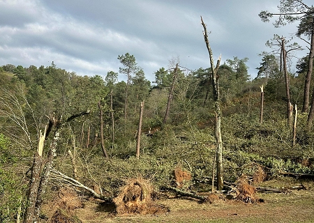 Au moins deux tornades confirmées le 27 octobre