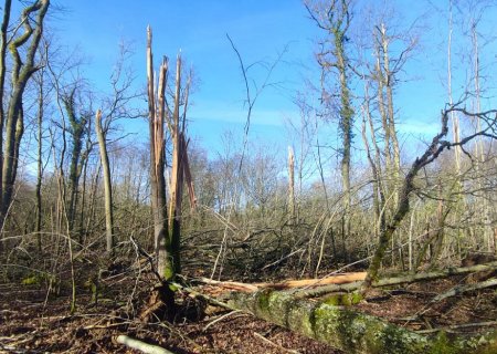 Une tornade frappe la Meurthe-et-Moselle le 4 avril