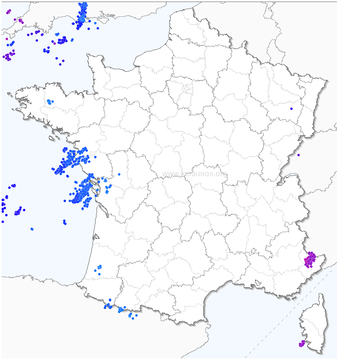 Phénomène venteux violent sur l'Ile d'Yeu le soir du 27 mars