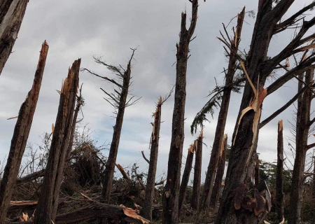 Un ph&eacute;nom&egrave;ne venteux bref mais intense a balay&eacute; l&rsquo;Ile d&rsquo;Yeu, en Vend&eacute;e, ce mercredi 27 mars en d&eacute;but de soir&eacute;e. Une cellule orageuse de petite dimension mais active s&rsquo;est en effet pr&eacute;sent&eacute;e par le sud-ouest et a provoqu&eacute; de nombreux d&eacute;g&acirc;ts, notamment des toitures endommag&eacute;es et des chutes d&rsquo;arbres. Au total, une cinquantaine de maisons seraient concern&eacute;es par des d&eacute;g&acirc;ts &agrave; des degr&eacute;s divers.