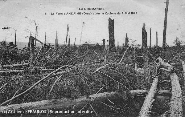 LE MENIL-DE-BRIOUZE (Orne) - La forêt d'Andaine après la tornade du 8 mai 1923