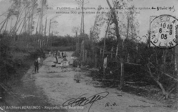 FLOING (Ardennes) - La pépinière, près la Fontaine, après la macrorafale du 9 août 1905