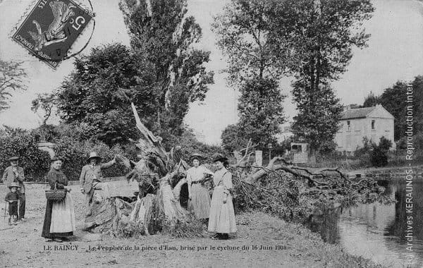 LE RAINCY (Seine-Saint-Denis) - Le peuplier de la pièce d'eau, brisé par la macrorafale destructrice du 16 juin 1908