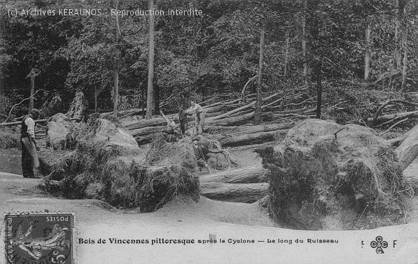 PARIS (Ville de Paris) - Bois de Vincennes - Arbres déracinés après la macrorafale du 16 juin 1908