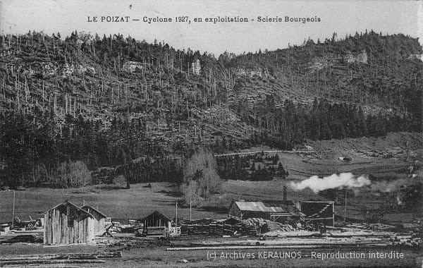 LE POIZAT (Ain) - Scierie Bourgeois - Aspect de la forêt après la rafale descendante du 11 août 1927