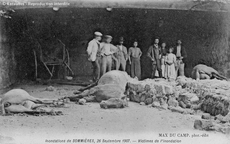 SOMMIÈRES (Gard) - Vidourlade du 26 septembre 1907. Victimes animales. © Keraunos