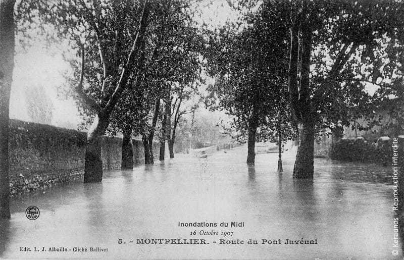 MONTPELLIER (Hérault) - Crue du Lez des 15-16 octobre 1907. Autre vue de l'avenue du pont Juvénal le 16 octobre. © Keraunos