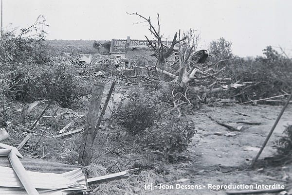 Tornade EF5 de Palluel (Pas-de-Calais) du 24 juin 1967 - Débris d'arbres dépouillés et écorcés à Palluel. © Jean Dessens