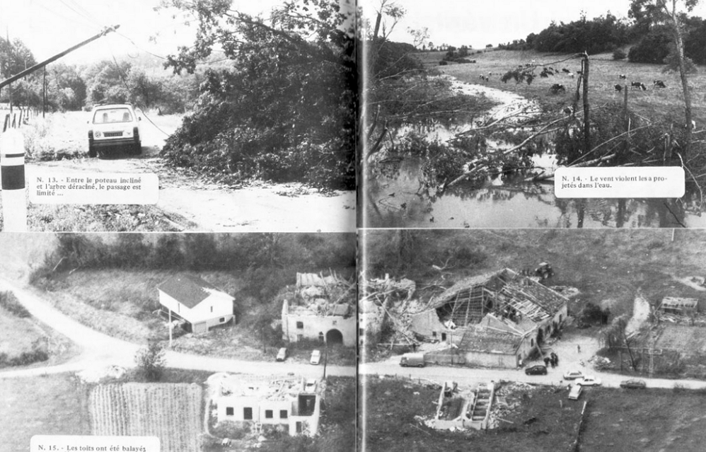 Macrorafales d'intensité extrême (D5) dans les Vosges le 11 juillet 1984