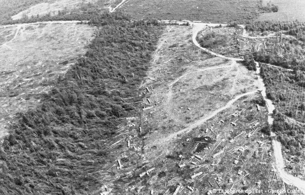 Macrorafales d'intensité extrême (D5) dans les Vosges le 11 juillet 1984