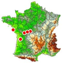 Outbreak de tornades des 8 et 9 novembre 1997 en France.
