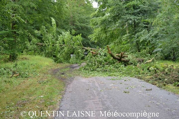 Dommages en forêt de Compiègne (Oise), suite aux fortes rafales de vent générées par le MCC de la nuit du 26 au 27 juillet 2013. (c) Quentin LAISNE