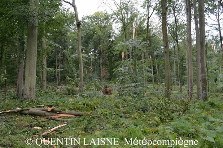 Dommages en forêt de Compiègne (Oise), suite aux fortes rafales de vent générées par le MCC de la nuit du 26 au 27 juillet 2013. (c) Quentin LAISNE