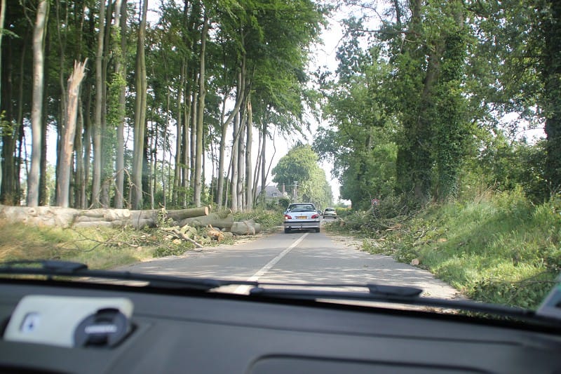 Troncs cassés et branches d'arbres arrachées par les macrorafales du 27 juillet 2013 en Normandie. Orages violents. (c) Mathieu ADAM