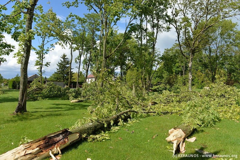 Microrafale de Levroux (Indre) du 21 mai 2014. Arbres cassés et branches arrachées au Petit Bois [burst swath n°4]. (c) KERAUNOS