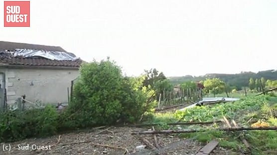 Microrafales entre Mensignac et Biras (Dordogne) le 21 mai 2014 - Jardin saccagé à Biras. (c) - Sud-Ouest