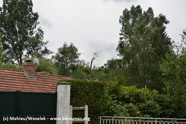 Microrafale de Poigny-la-Forêt (Yvelines) du 21 mai 2014 - Peupliers brisés près de la Guesle. (c) - Mahieu/Wesolek - www.keraunos.org