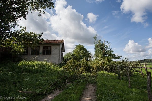 Vy-le-Ferroux - Branches cassées et toiture endommagée à l'entrée du village. © L. Gibaud