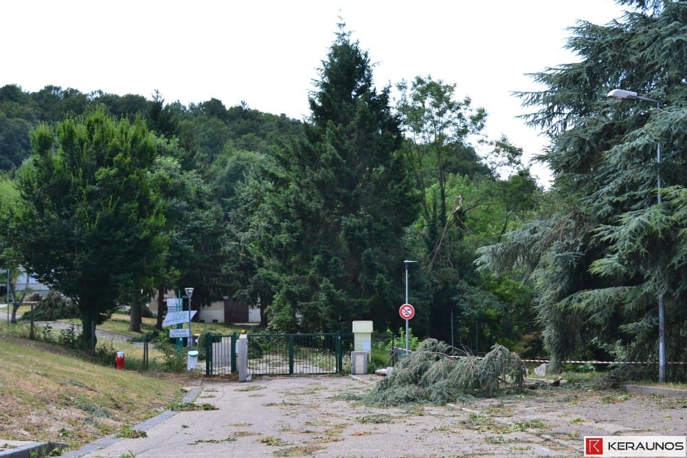 Macrorafale entre Haute-Loire et Loire le 18 juillet 2015. Aperçu de la végétation endommagée à l'entrée du collège des Bruneaux à Firminy. © Keraunos / D. Dumas