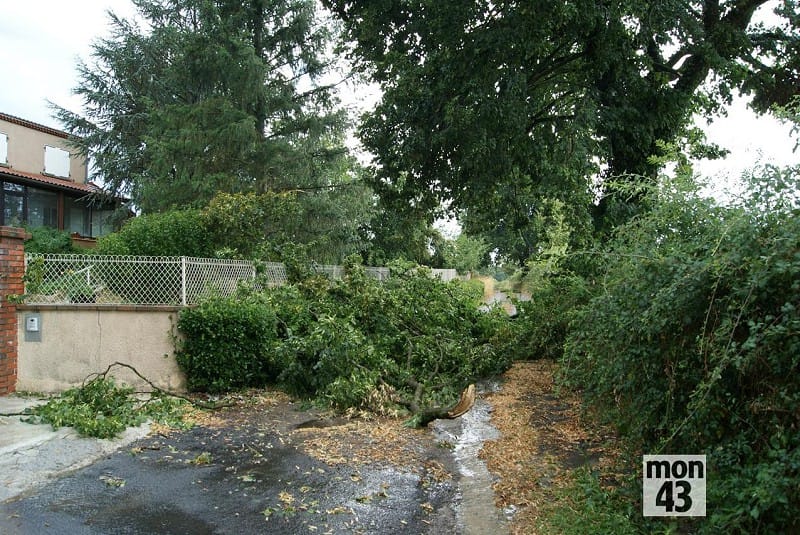 Macrorafale en Limagne brivadoise (Haute-Loire) le 18 juillet 2015. Branches brisées. © Mon 43