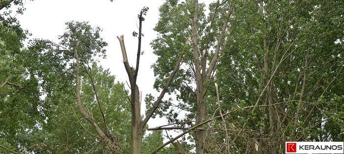 Dégâts consécutifs à de fortes rafales de vent au passage d'un QLCS, le 13 août 2015, à Ecourt-Saint-Quentin (Pas-de-Calais). © P. Mahieu / E. Wesolek / KERAUNOS