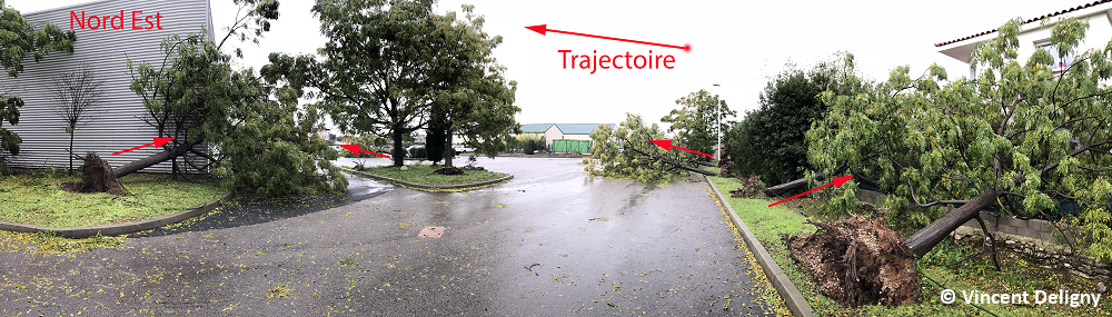 Tornade EF1 du Crès (Hérault) du 9 novembre 2018. Vue panoramique de l'aire de stationnement. Axe de convergence identifié dans le sens de chute des arbres. © Vincent Deligny