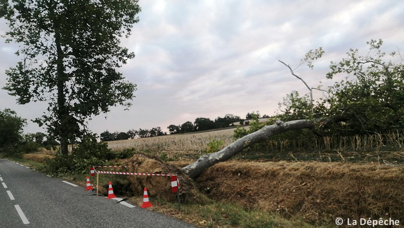 Macrorafale d'intensité modérée (D2) en Haute-Garonne le 13 août 2022