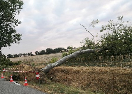 Macrorafale d'intensité modérée (D2) en Haute-Garonne le 13 août 2022