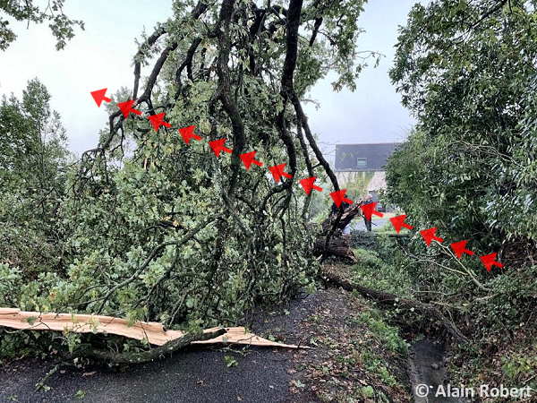 Tornade EF1 à Herbignac (Loire-Atlantique) le 20 octobre 2022