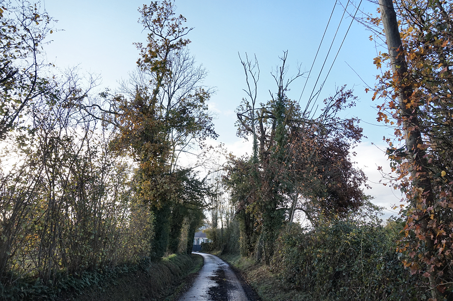 Tornade EF2 à Beuzeville (Eure) le 23 octobre 2022