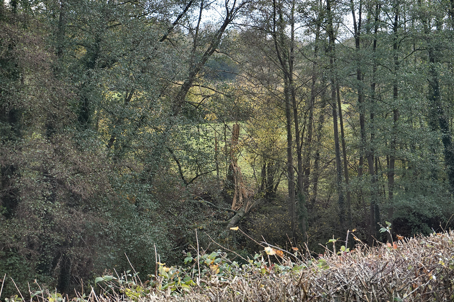 Tornade EF2 à Beuzeville (Eure) le 23 octobre 2022