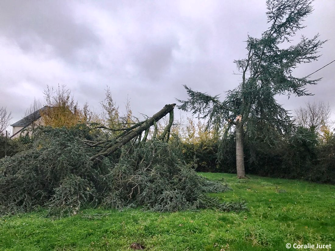 Tornade EF0 à Bouillé-Ménard (Maine-et-Loire) le 23 novembre 2022