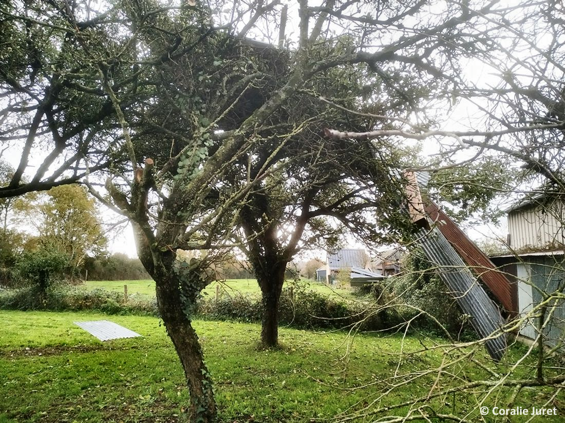 Tornade EF0 à Bouillé-Ménard (Maine-et-Loire) le 23 novembre 2022