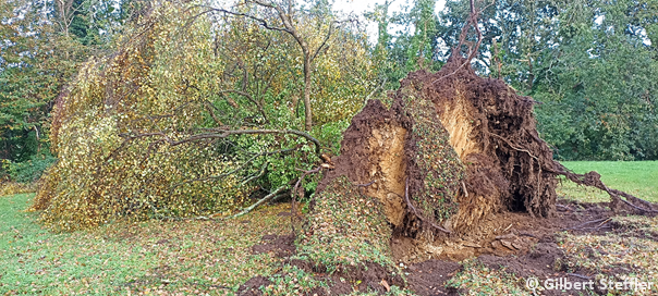 Tornade EF0 à Concarneau (Finistère) le 23 octobre 2022