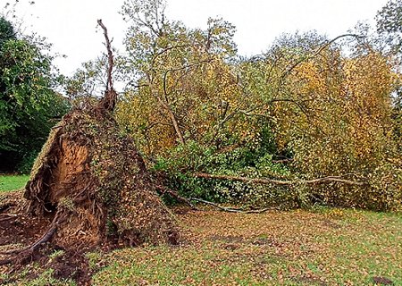 Tornade EF0 à Concarneau (Finistère) le 23 octobre 2022