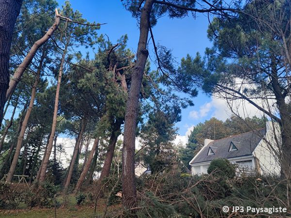 Tornade EF0 à Moëlan-sur-Mer (Finistère) le 8 novembre 2022