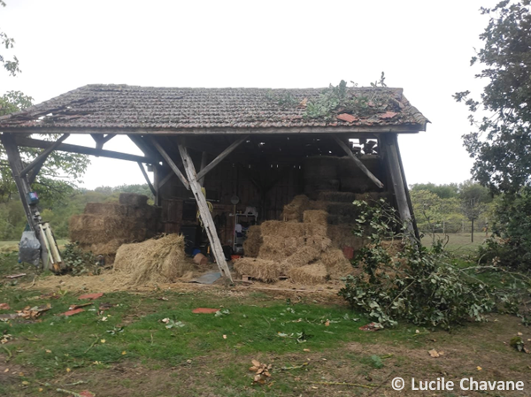 Tornade EF1 à Mouchan (Gers) le 4 novembre 2022