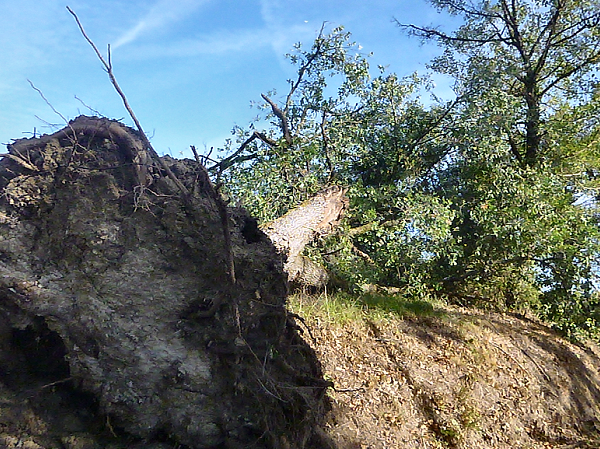 Tornade EF1 à Mouchan (Gers) le 4 novembre 2022