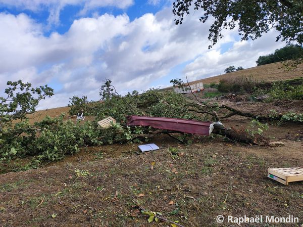 Tornade EF1 à Mouchan (Gers) le 4 novembre 2022