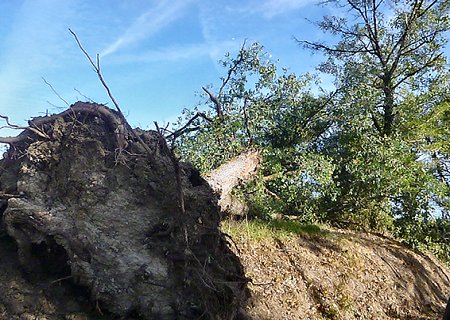 Tornade EF1 à Mouchan (Gers) le 4 novembre 2022