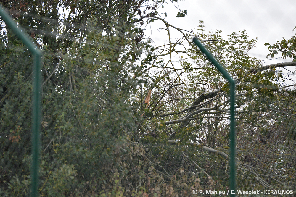 Tornade EF1 à Muids (Eure) le 23 octobre 2022