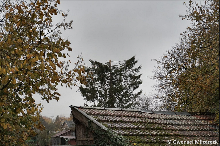 Tornade EF1 à Suippes (Marne) le 17 novembre 2022