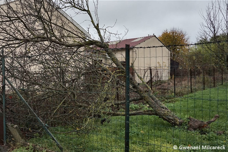 Tornade EF1 à Suippes (Marne) le 17 novembre 2022