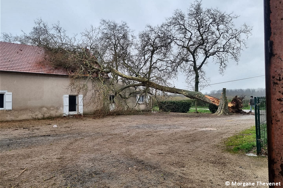 Derecho des Deux-Sèvres au Jura le 31 mars 2023