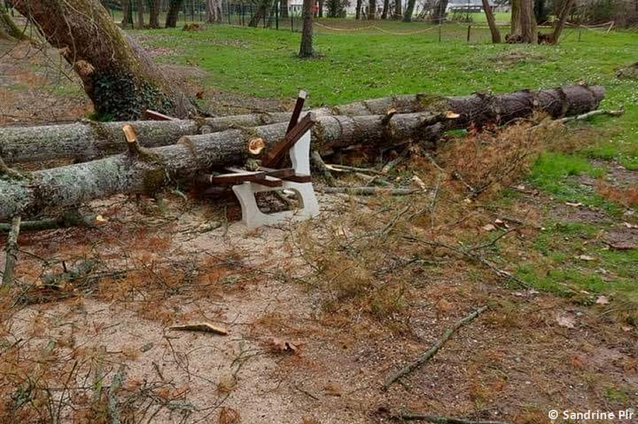 Derecho des Deux-Sèvres au Jura le 31 mars 2023